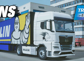 Skins MAN No Bau MICHELIN