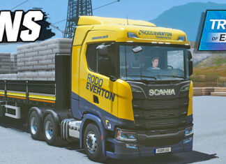 Skins Scania S RODO EVERTON na Granel