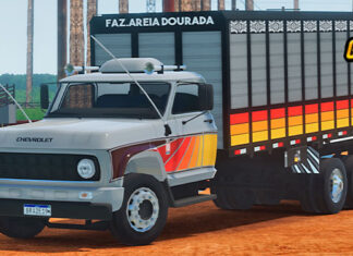 Skins Chevrolet D60 Cinza Boiadeiro Com Faixas ‘Qualfiicado’