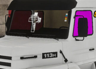 Skins Vidro Jesus Scania 113