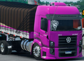 Skins VW Constellation Roxo