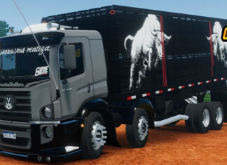 Skins VW Constellation Cinza Boiadeiro