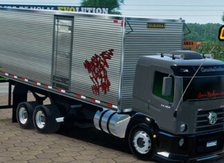 Skins VW Constellation Cinza Qualificado no Bauzão