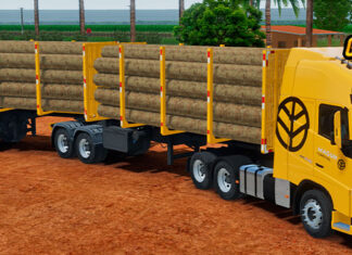 Skins Volvo FH Amarela No Bitrem Florestal Maguh