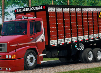 Skins Mercedes Benz 1620 Boiadeiro