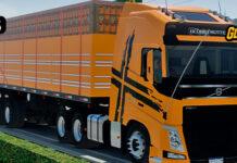 Skins Volvo FH Amarelo na Granel Tampa Alta Carga Maracujá