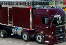 Skins VW Constellation Vinho no Bau com Caixaria